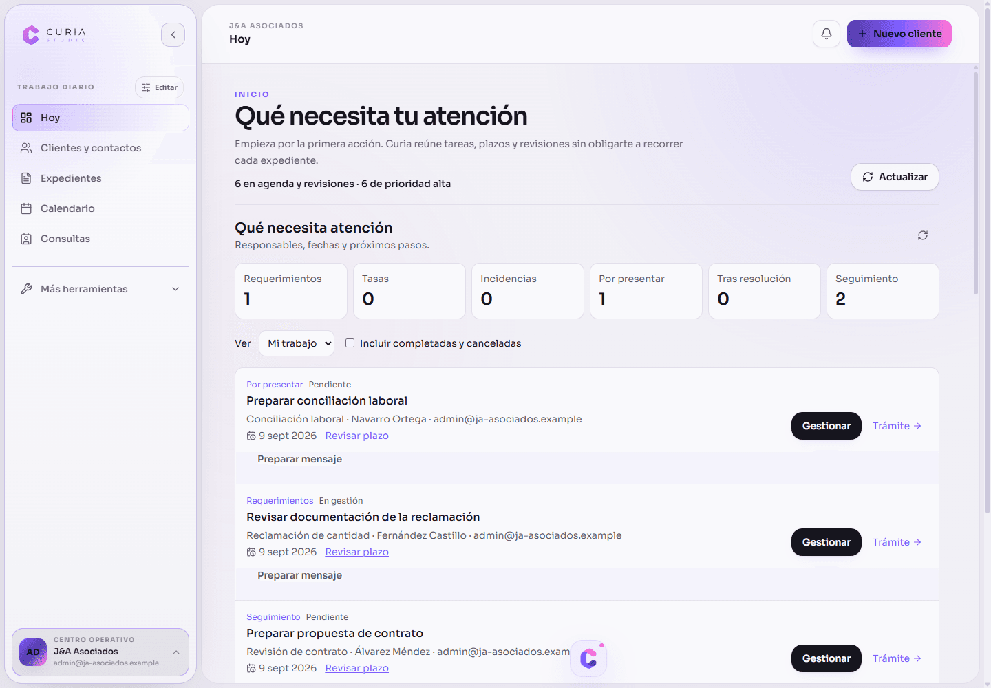 Interfaz real de CURIA con datos ficticios de J&A Asociados, apariencia clara